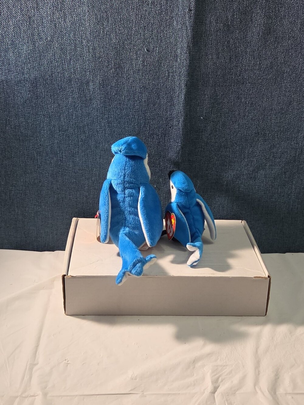 Ty Beanie Baby Rocket the Blue Jay Set Standard & Teenie Beanie 1998 NWT Bird - Picture 4 of 16